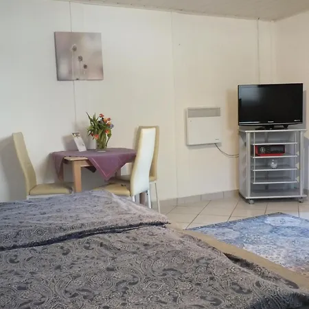 Buntspecht 7 * Pruchten