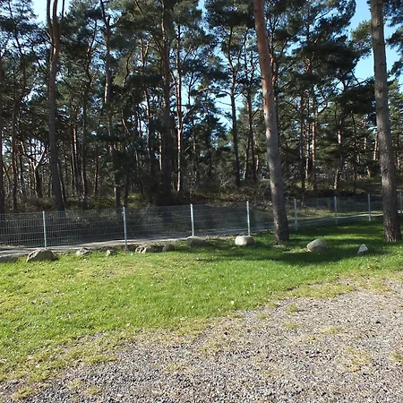 Buntspecht 7 * Pruchten