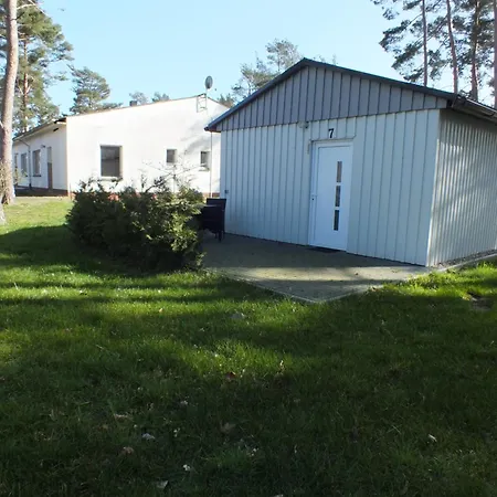 Buntspecht 7 *