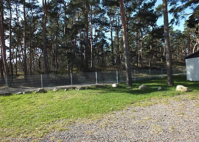 Buntspecht 7 * Pruchten